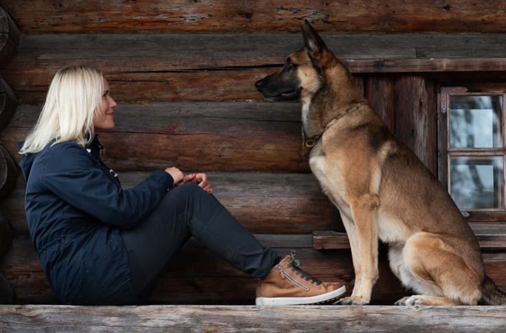 Köpeğinizden Nasıl İlham Alırsınız?
