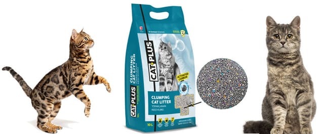 3 En İyi En Ucuz Kedi Kumu Tavsiyesi – İncelemesi