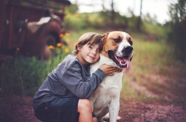 Hangi Köpekler Çocuklarla İyi Anlaşır?