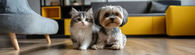 Kedi ve Köpek Beslenmesinde En Sık Yapılan 5 Hata