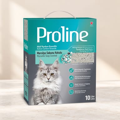 Kedi Kumları