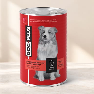 Yaş Köpek Mamaları