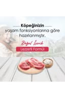 DogPlus Düşük Tahıllı Hipoalerjenik Kuzu Etli Yetişkin Köpek Maması 3 Kg – 2. görsel
