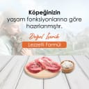 DogPlus Kuzu Etli Yavru Köpek Maması 15 Kg – 2. görsel