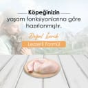 Bonnie Mini ve Küçük Irk Tavuklu Yetişkin Köpek Maması 2,5 Kg x 2 Adet – 2. görsel