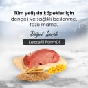 Gofrette Biftekli Yetişkin Köpek Maması 15 Kg – 2. görsel