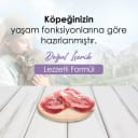 Bonnie Kuzu Etli Yavru Köpek Maması 2,5 Kg x 2 Adet – 2. görsel