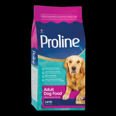 Proline Kuzu Etli Yetişkin Köpek Maması 15 Kg