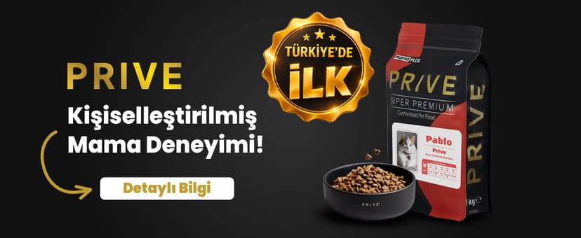 PRİVE