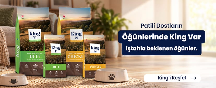 King