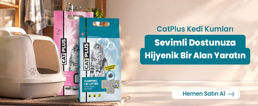CatPlus Kum