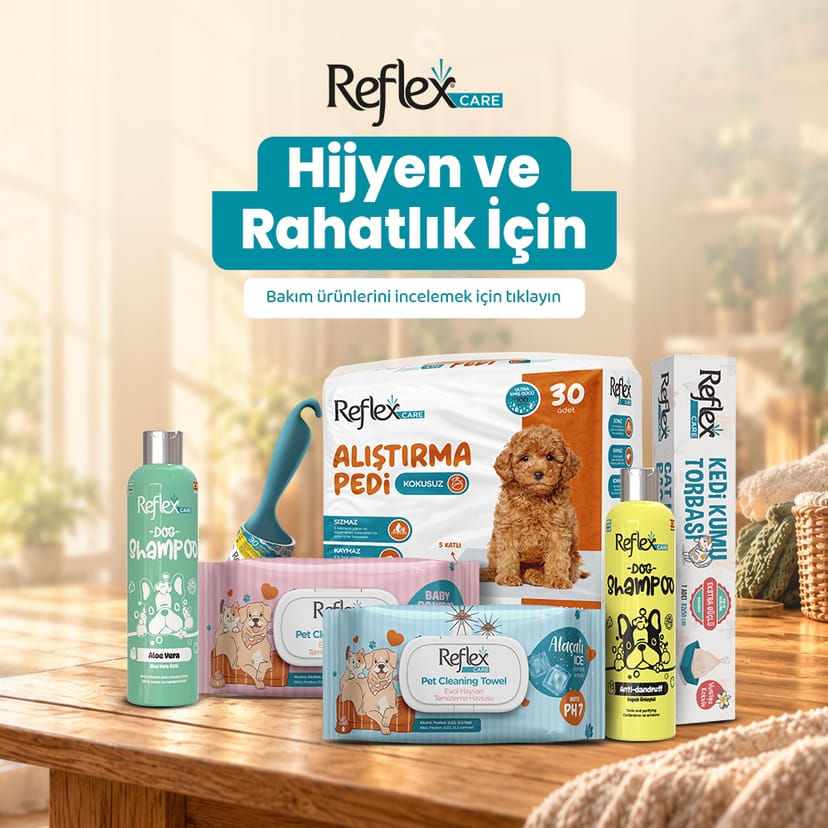 Bakım ve Temizlik Ürünleri