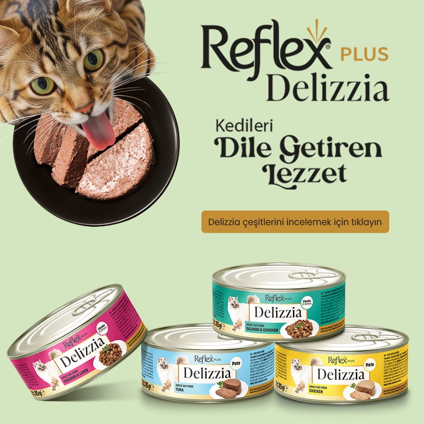 Delizzia