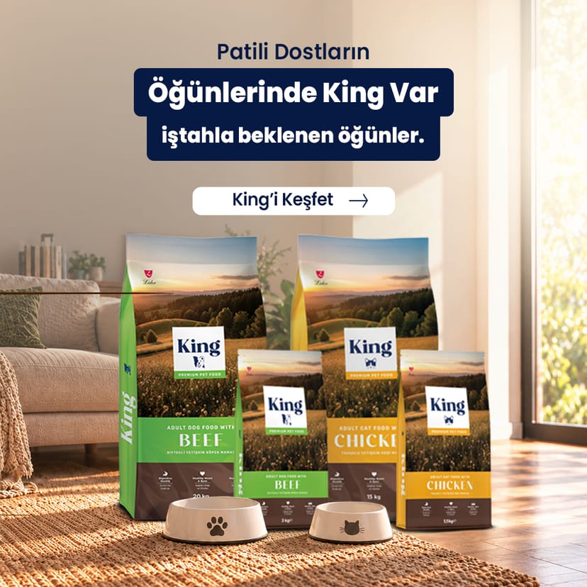 King