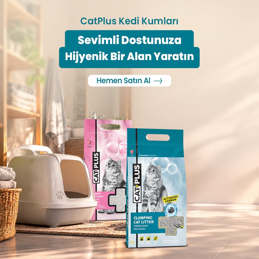 CatPlus Kum