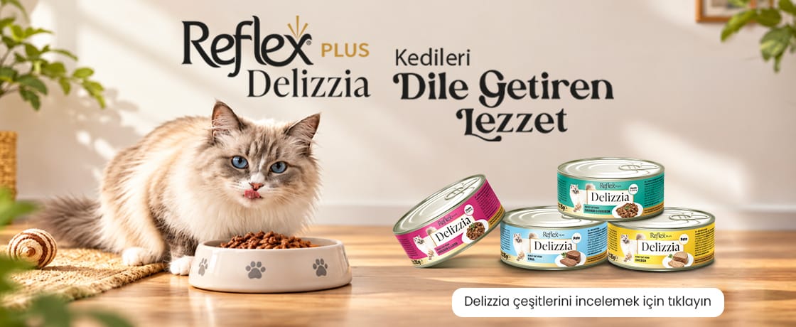 Delizzia