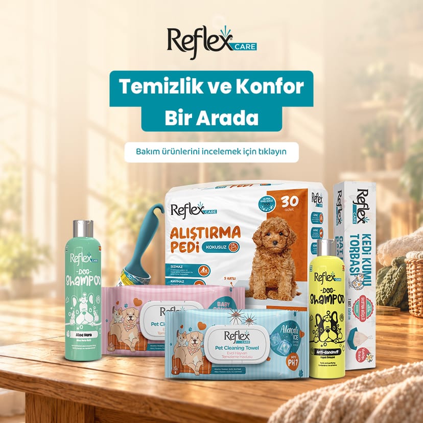 Bakım ve Temizlik Ürünleri