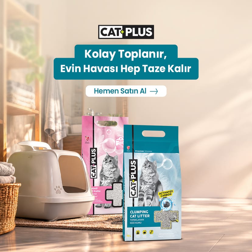 CatPlus Kum