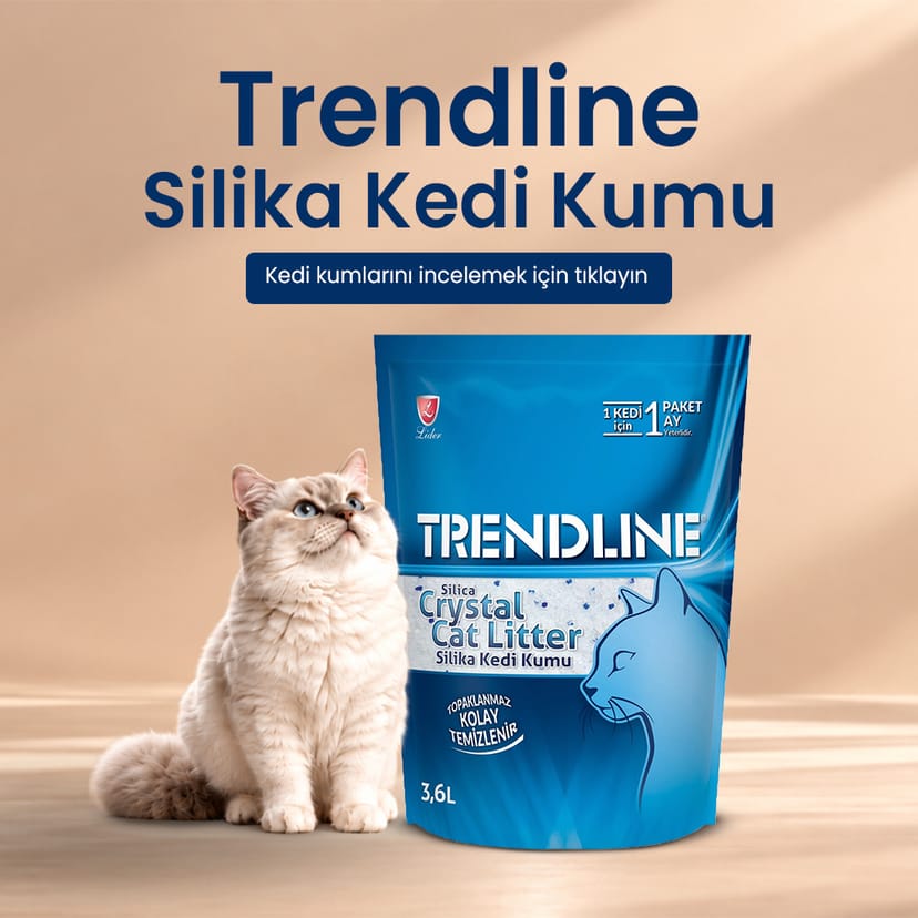 Trendline Silika Kedi Kumu
