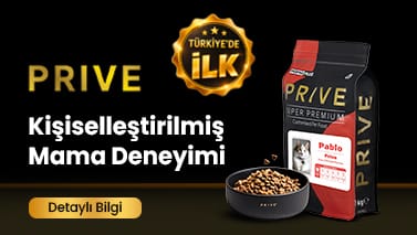 Kampanya görseli