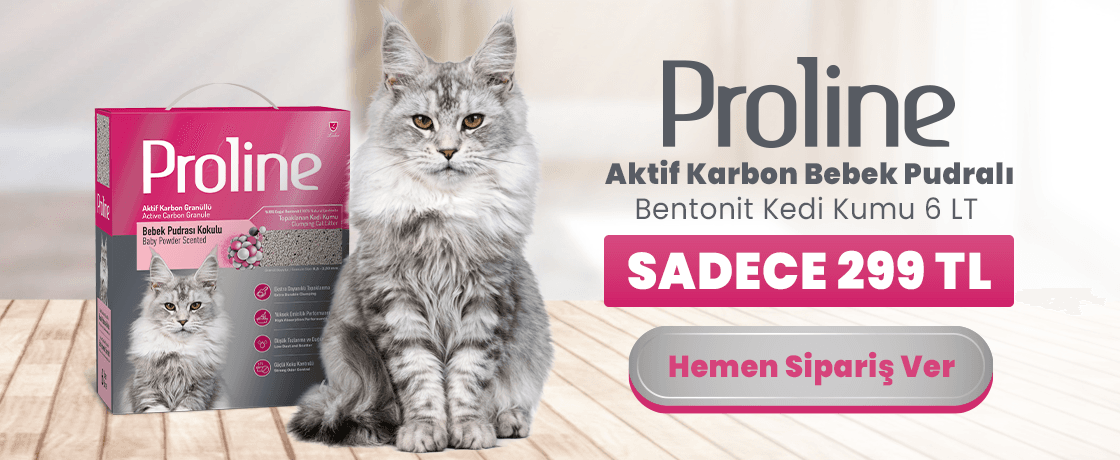 Kum 299 TL