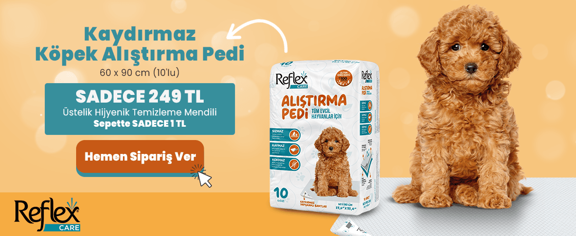 Alıştırma Pedi