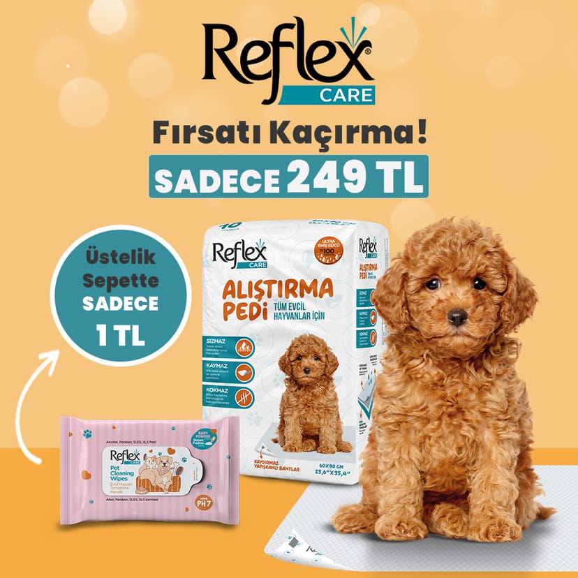 Alıştırma Pedi