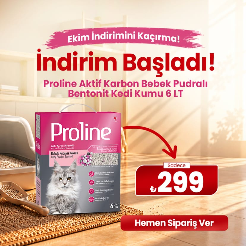 Kum 299 TL