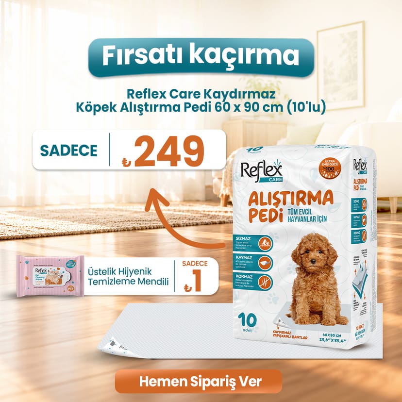 Alıştırma Pedi