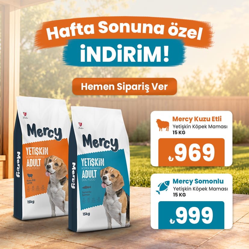 Mercy Köpek