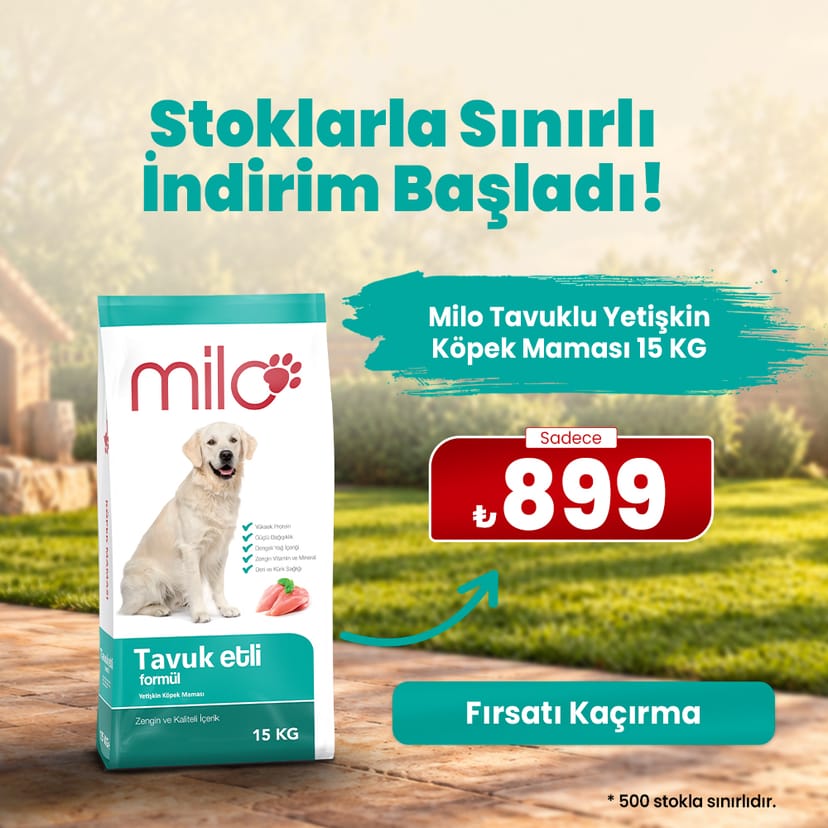 Milo Köpek