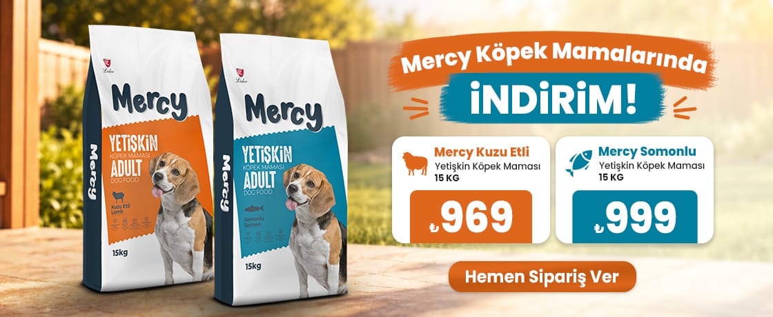 Mercy Köpek