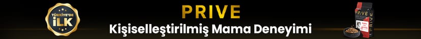 Prive