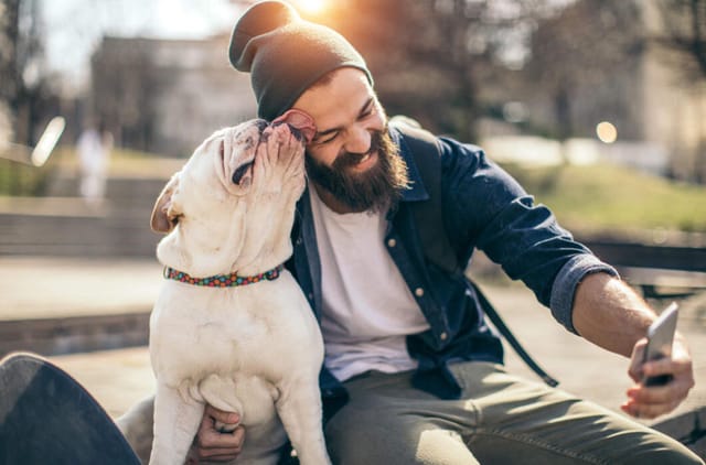 Köpeğinizin Sizi Gerçekten Sevip Sevmediğini Anlamanın 10 Yolu