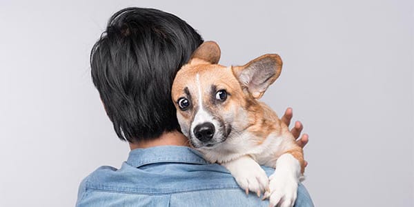 Bazı Köpekler Neden Nesnelerden Korkarlar?