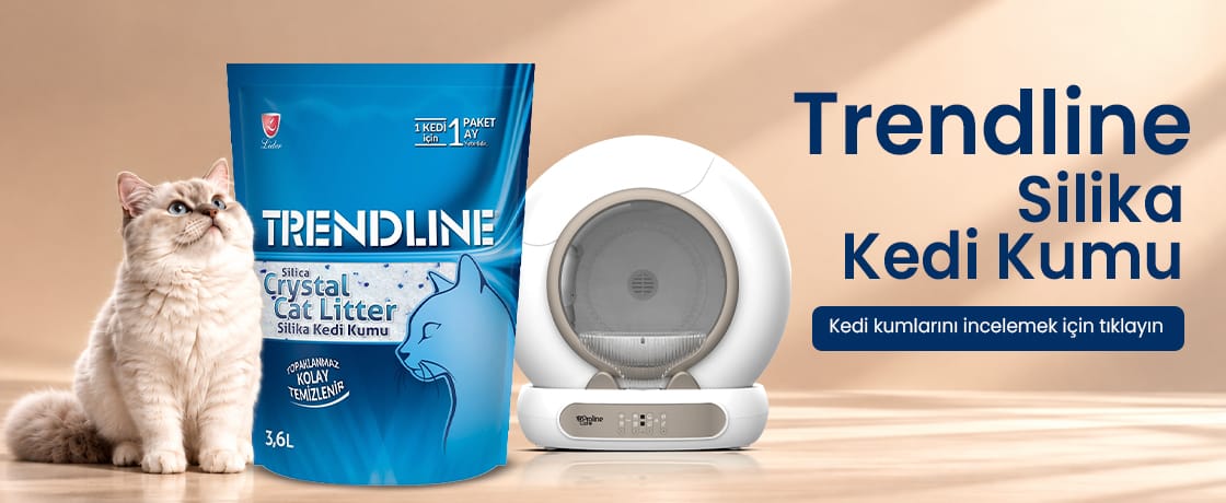 Trendline Silika Kedi Kumu