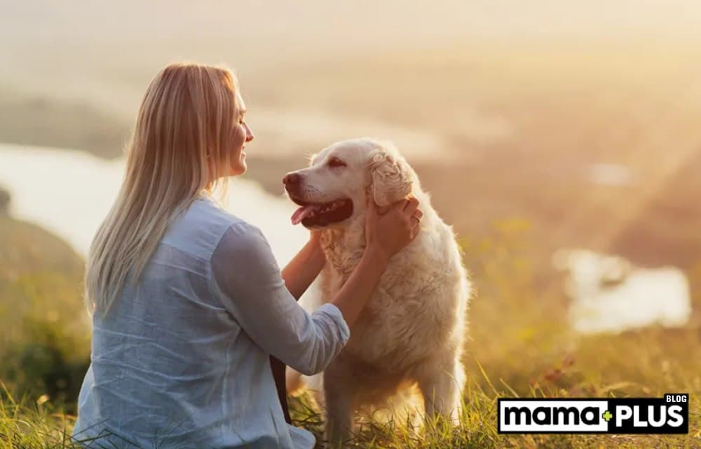 Evcil Hayvan İle Yaşamanın Faydaları Nelerdir?