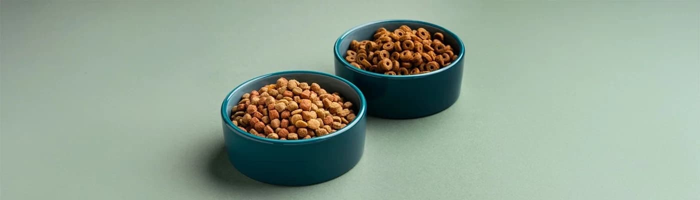 Kademeli Geçiş Rehberi: Mevcut Mamadan Prive’a 7 Günde Geçiş - En iyi formül bile yanlış geçişle sevilmeyebilir