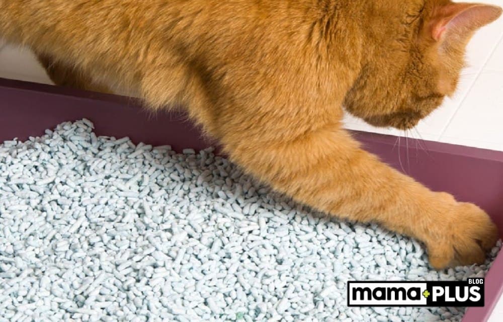 Aktif Karbonlu Kedi Kumu Nedir?