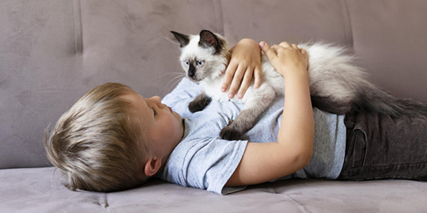 Hayatlarının Tüm Aşamalarında için Kedi Sağlığı - Bir kedi için “normal” nedir? 18 aylık bir kedinin 18 yaşındaki bir kediden farkı nedir? Kedinizin yaşam evresi için neyin normal olduğuna aşina olmak, büyüdükçe ne gibi değişiklikler bekleyeceğinizi tahmin etmenize yardımcı olur. Yaşam evresi değişikliklerinin farkında olmak, evcil hayvanlarınızın sağlığını korumanıza, yaşamları boyunca onları mutlu ve sağlıklı tutmanıza yardımcı olabilir. Yavru Kedi Beklendiği gibi,