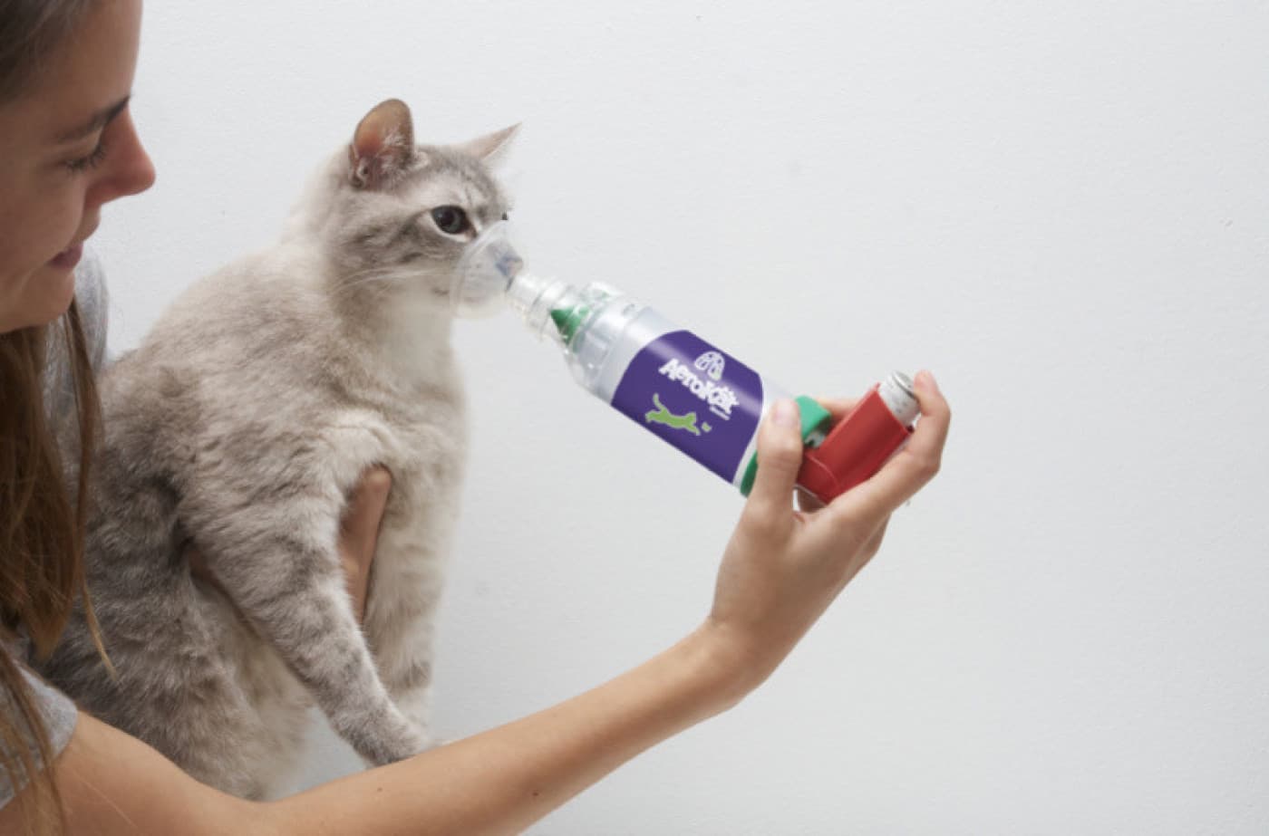 Kedilerde Nefes Problemi Nedenleri ve Tedavisi - Kediniz Nefes Almakta Zorlanıyor Mu? Nefes nefese kalmak, genellikle kedilerden çok köpeklerle ilişkilendirilir. Kesinlikle daha az yaygın olsa da herhangi bir kedi, sıcak havaya maruz kaldıktan veya yoğun oyun zamanından sonra ağır nefes alabilir. Bu davranış, kedilerde garip görünebilir ancak ara sıra nefes nefese kalmanın tamamen zararsız olduğundan emin olabilirsiniz. Bununla birlikte, evcil hayvan ebeveynleri,