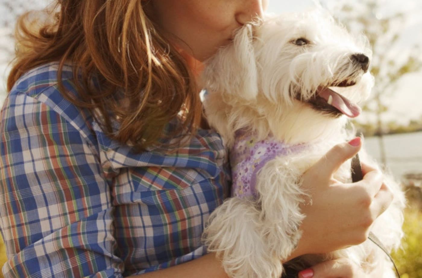 Köpeklerden Alabileceğimiz 5 Hayat Dersi - Köpeklerden Alabileceğimiz 5 Hayat Dersi Biz insanlar her zaman köpeklerimizi daha iyi hale getirmeye ve onlara yeni numaralar öğretmeye çalışıyoruz. Peki onlardan hangi hayat derslerini öğrenebiliriz? Tüylü dostlarımızın paylaştığı bazı temel kişilik özelliklerini yansıtırsak çoğumuz için daha iyi olur. Köpekler sadıktır, koruyucudur, koşulsuz sever, son derece bilinçlidir ve sahip oldukları az şeyin tadını nasıl çıkaracaklarını