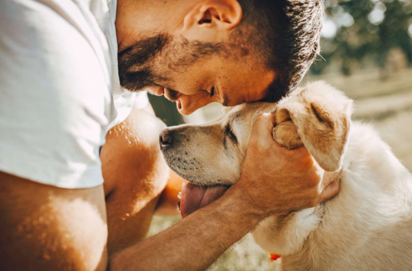 Sadık Dostlarımız İle İlgili 12 İlginç Bilgi - Sadık Dostlarımız İle İlgili 12 İlginç Bilgi Sadık dostlarımız olan köpekler hakkında ilginç 12 bilgiyi aşağıda bulabilirsiniz: Köpekler İlk Evcilleştirilen Hayvanlardır: Köpekler, insanlar tarafından evcilleştirilen ilk hayvanlardan biridir. Yaklaşık olarak 15.000 yıl önce insanlar tarafından evcilleştirildiler. Çeşitlilikleri: Köpekler, tür olarak oldukça çeşitlidir. Farklı boyutlarda, renklerde, tüy tiplerinde ve karakterlerde gelirler. Köpeklerin 300’den fazla farklı ırkı vardır. Sadık