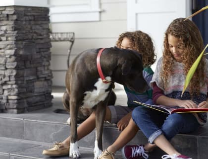 Neden Evcil Hayvanları Olan Çocuklar Okulda Daha Başarılı?