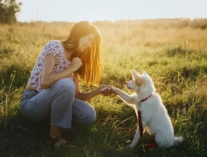 Patili Dostlarımız İçin İlk Yardım Tavsiyeleri