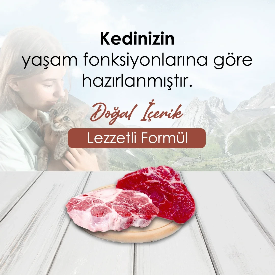 Bonnie Dana Etli Yetişkin Kedi Maması 10 Kg – 2. görsel