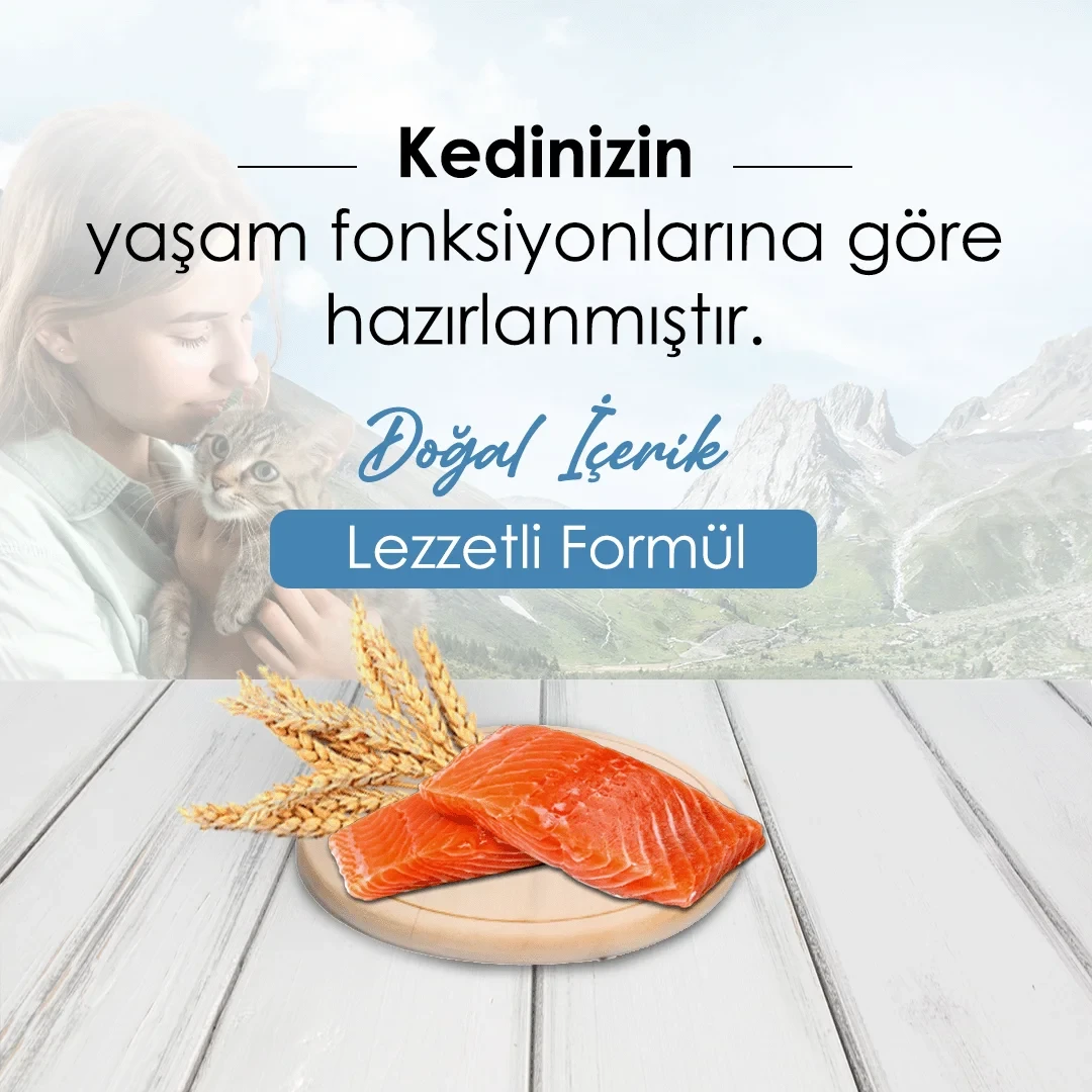 NewCat Somonlu Yetişkin Kedi Maması 15 Kg – 2. görsel