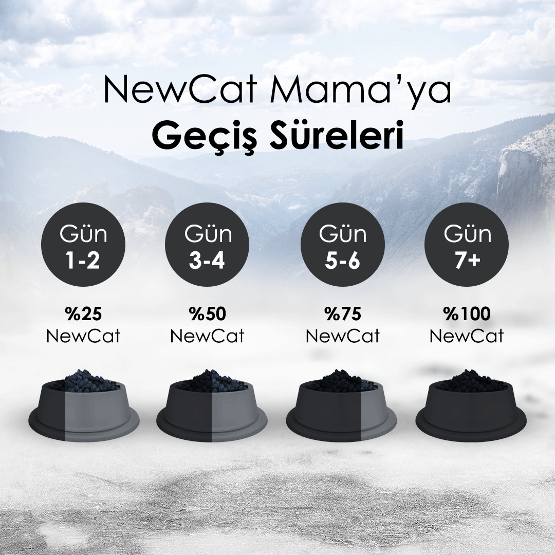 NewCat Somonlu Yetişkin Kedi Maması 15 Kg – 4. görsel