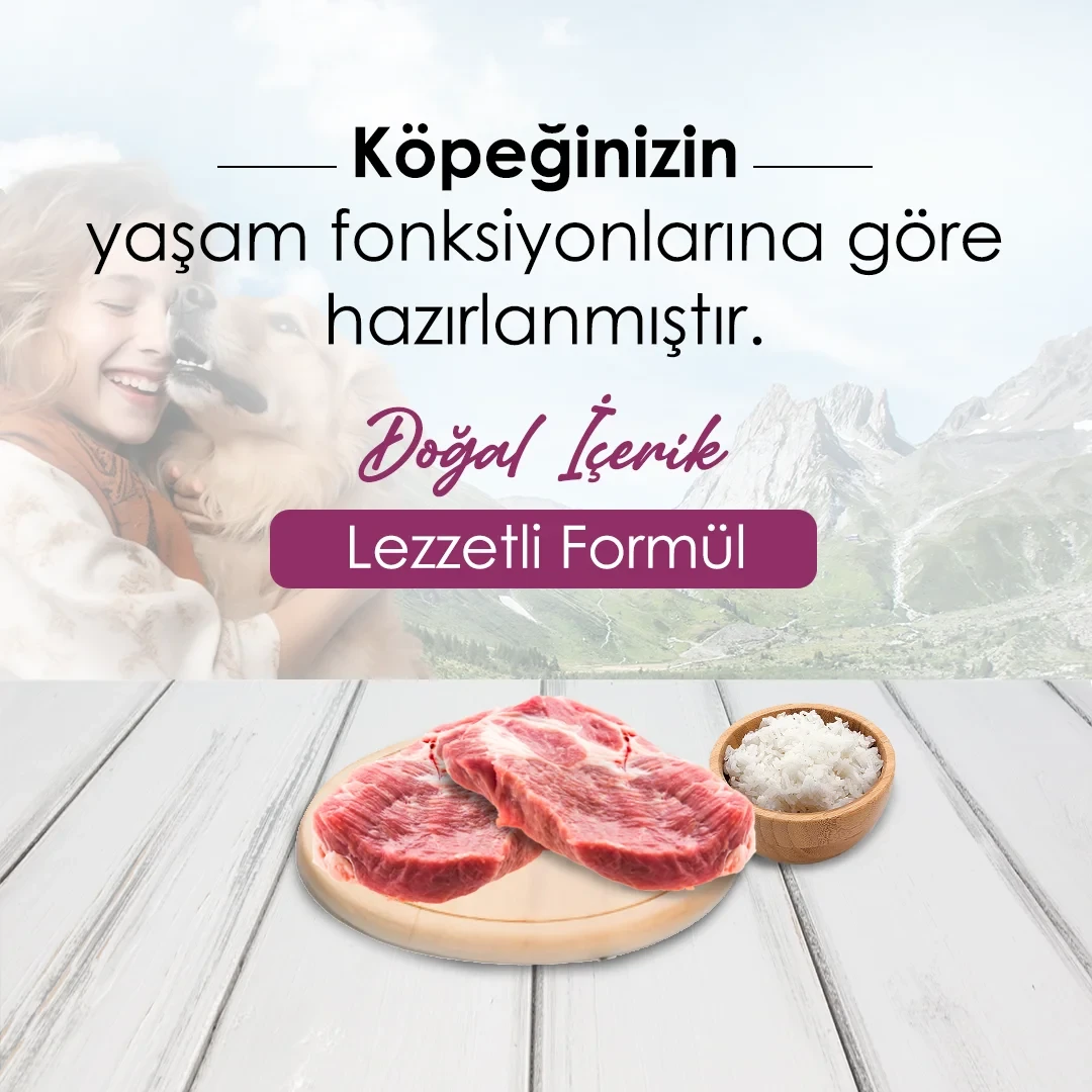 DogPlus Düşük Tahıllı Hipoalerjenik Kuzu Etli Yüksek Enerjili Yetişkin Köpek Maması 15 Kg – 2. görsel