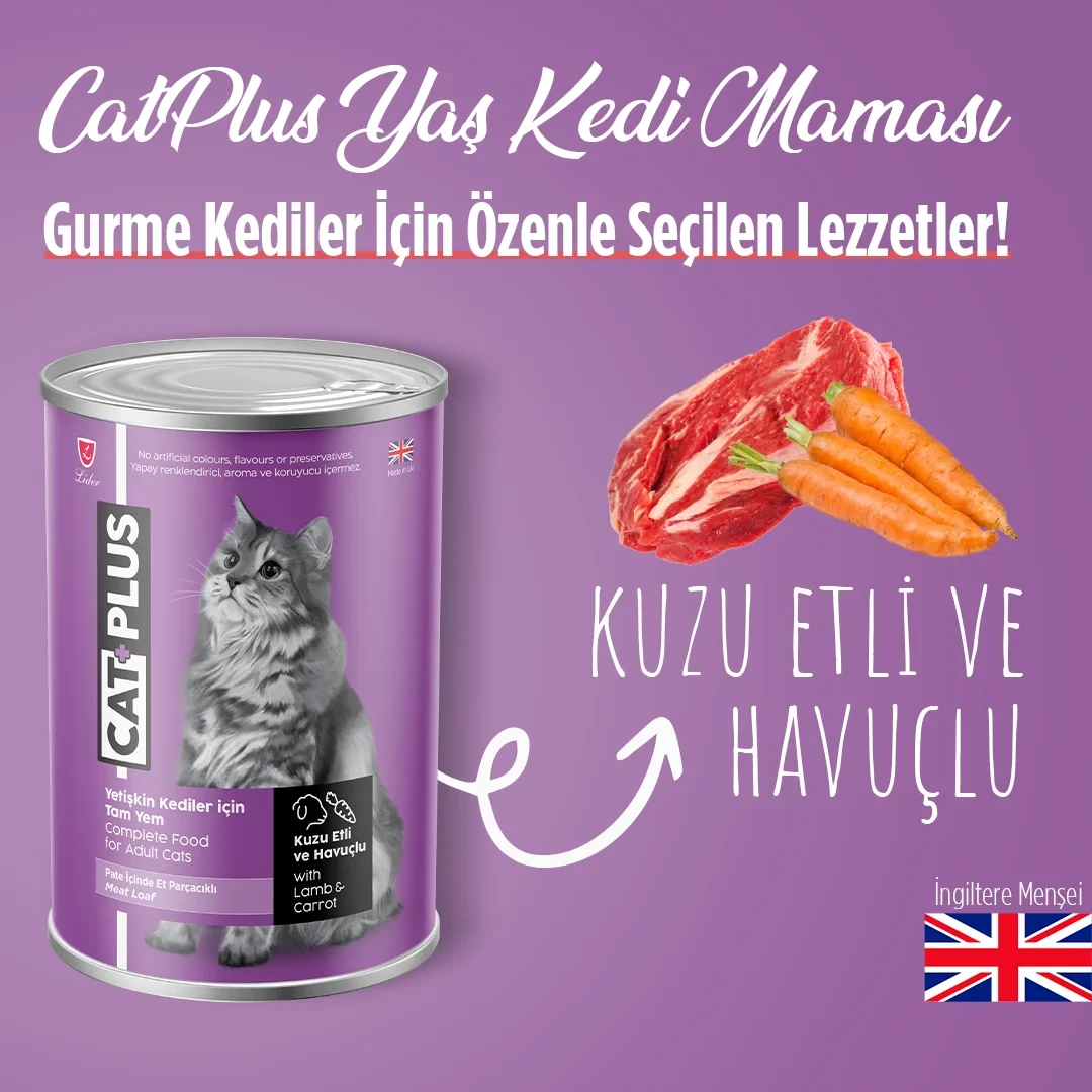 CatPlus Pate Kuzu Etli ve Havuçlu Yetişkin Kedi Konserve Yaş Mama 395 Gr x 24 Adet – 3. görsel